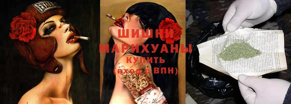 прущие грибы Армянск