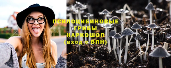 прущие грибы Армянск