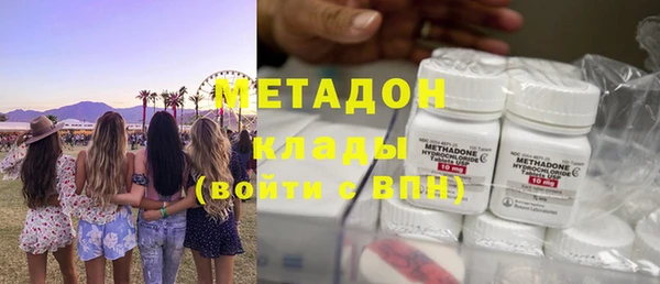 прущие грибы Армянск